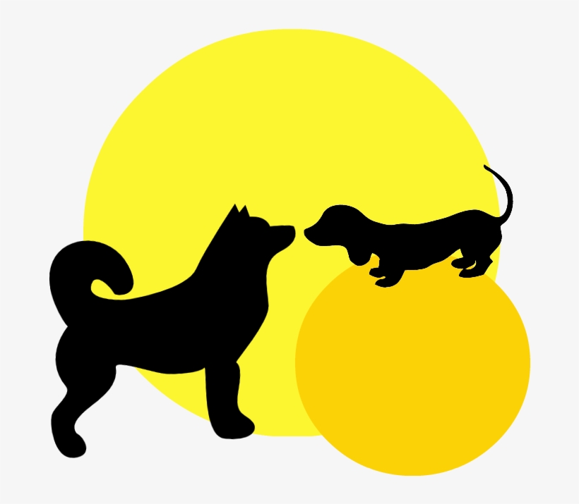 Siberian Husky, transparent png #3800770