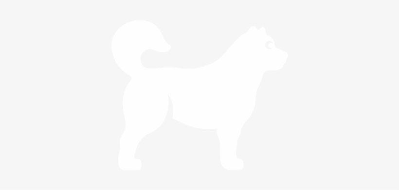 Dog Food Store, Shop Natural Dog Food, Toys In Albuquerque - Companion Dog, transparent png #3800998