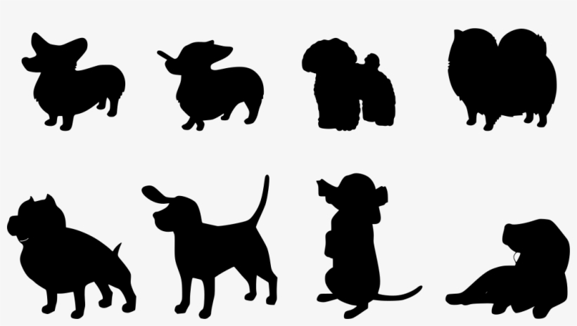 Download Png - Dog, transparent png #3801158