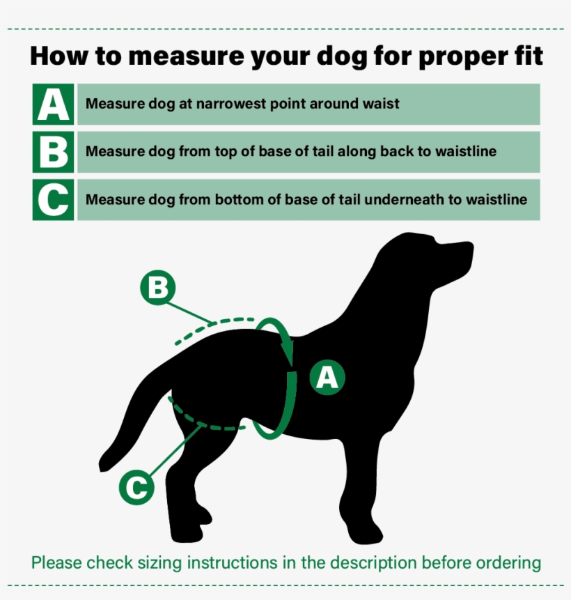 Vet's Best Perfect Fit Washable Female Dog Diaper - Dog Diapers, transparent png #3801273