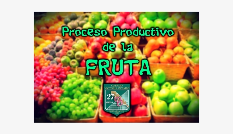 Proceso Productivo De La Fruta - Trái Cây Nhập Khẩu, transparent png #3801568