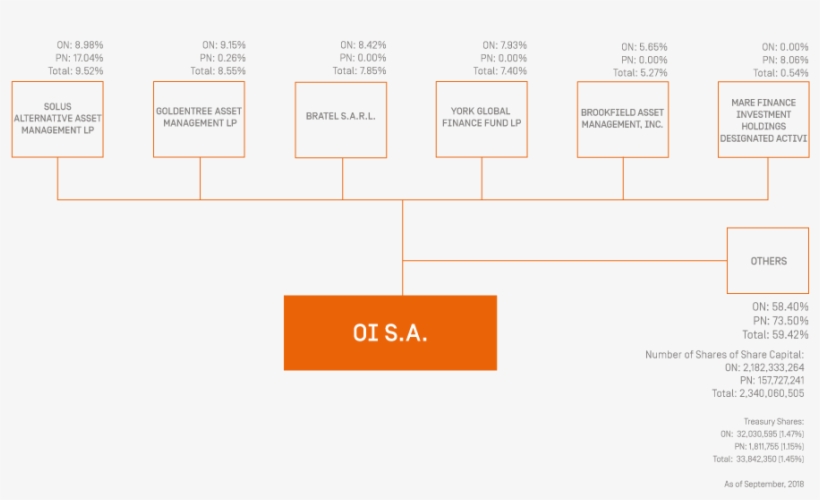 Learn About Our Ownership Breakdown - Diagram, transparent png #3801780