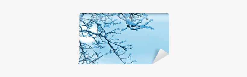 Winter Background With Frozen Tree Wall Mural • Pixers® - Blue, transparent png #3802149