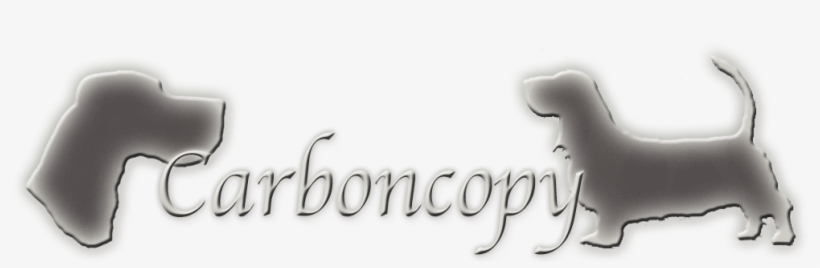 Calligraphy, transparent png #3803305