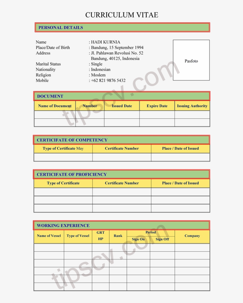 Contoh Curriculum Vitae Pelaut, transparent png #3804395