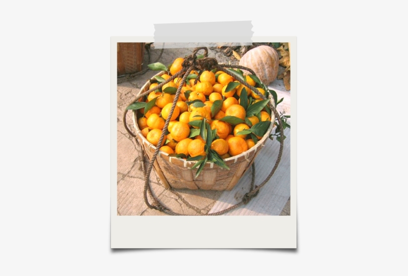 Organic Mandarin Oranges - Mandarin Orange, transparent png #3805151