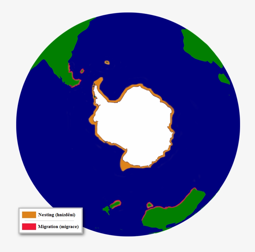 The Distribution Of The Adelie Penguin, transparent png #3806626