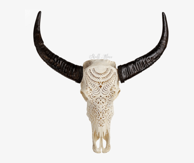Carved Buffalo Skull - Skull, transparent png #3807155