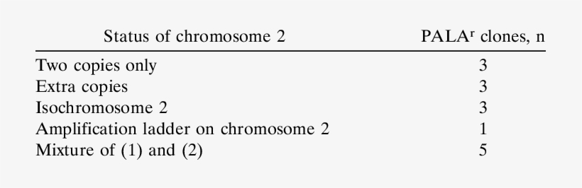 Different Types Of Events Responsible For Pala Resistance - Parallel, transparent png #3807627