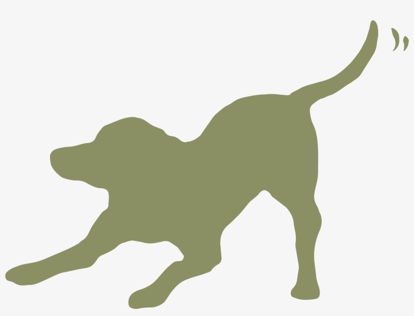 Country - Dog Catches Something, transparent png #3807978