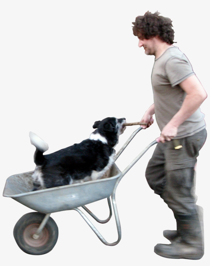 Wheelbarrow Dog Png Image - Drawing, transparent png #3808049