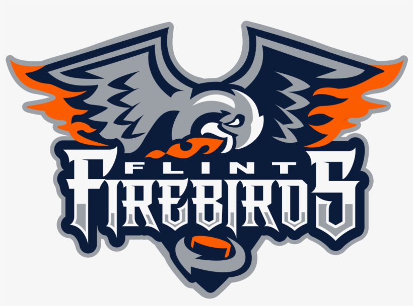 Flint Firebirds Logo Png, transparent png #3808319