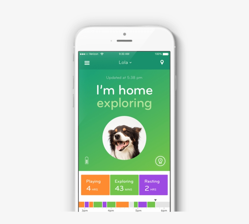 Mobile Tracking Ui - Dog Tracking App, transparent png #3808758