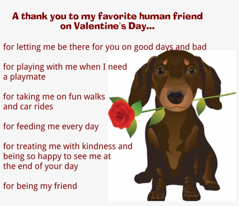 Valentine's Day Message From Dog - Happy Valentines Day Dog, transparent png #3808820