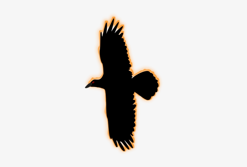 Open - Seabird, transparent png #3809143