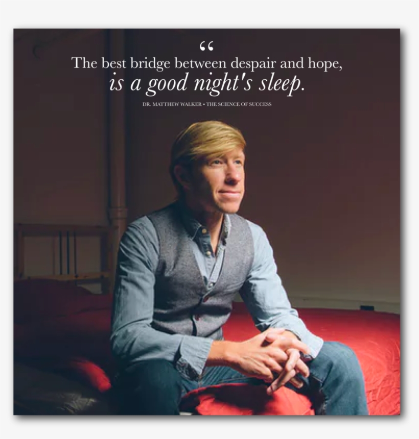 Everything You Know About Sleep Is Wrong With Dr, transparent png #3809527