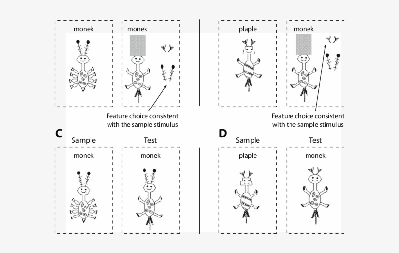 Examples Of Two Stimulus Frames For Matched And Mismatched - Line Art, transparent png #3809531