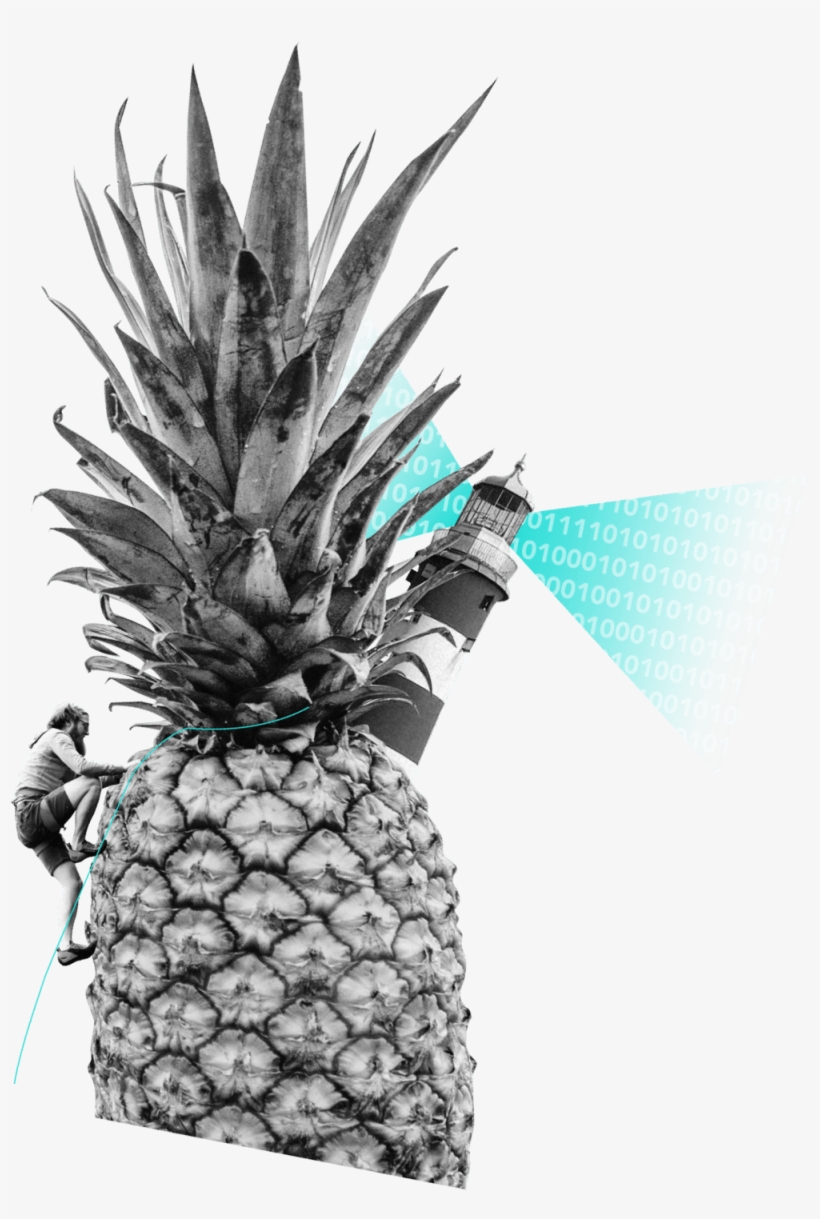 Abacaxi - 3d Rose Tropical Pineapple Set In A Circle Porcelain, transparent png #3809720