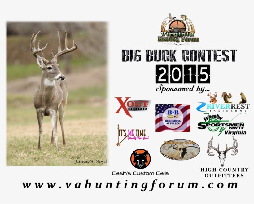 Vahfcontest2 ] - Deer Skull, transparent png #3810266