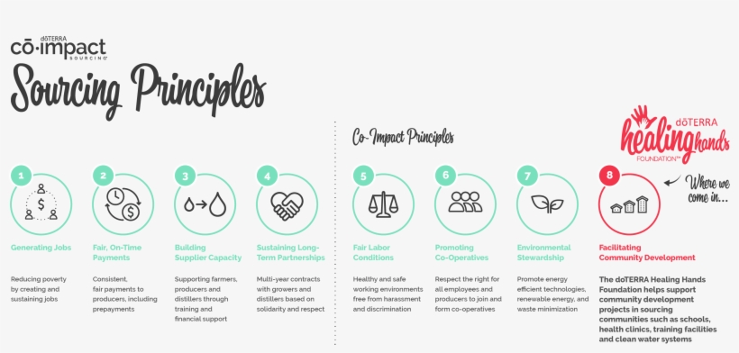 Find Out More About Co-impact Sourcing - Co Impact Sourcing, transparent png #3810267