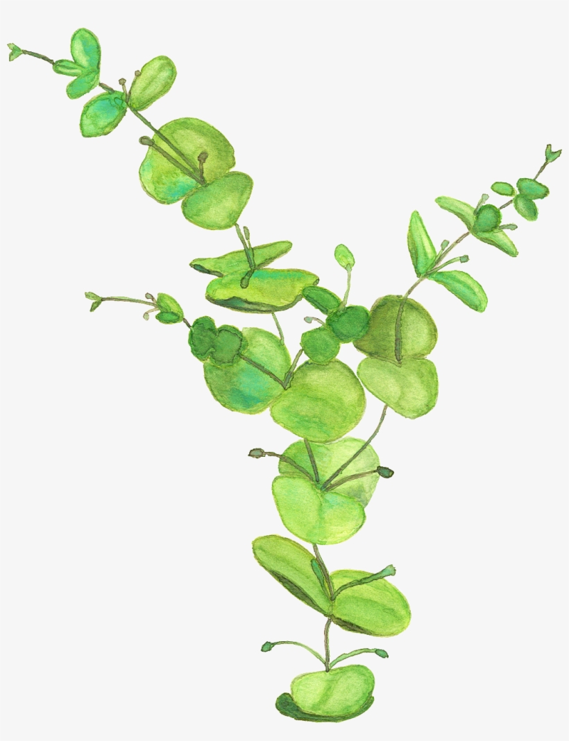 Hand Painted Thriving Leaves Png Transparent - Leafy Greens Backpack By Jenisestandish, transparent png #3810355