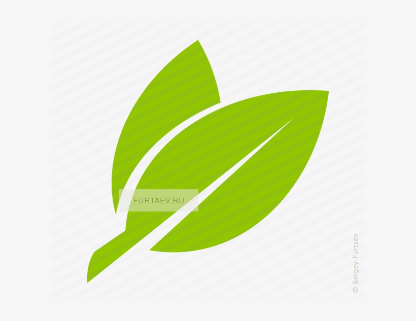 Vector Icon Of Two Leaves - Graphic Design, transparent png #3811052