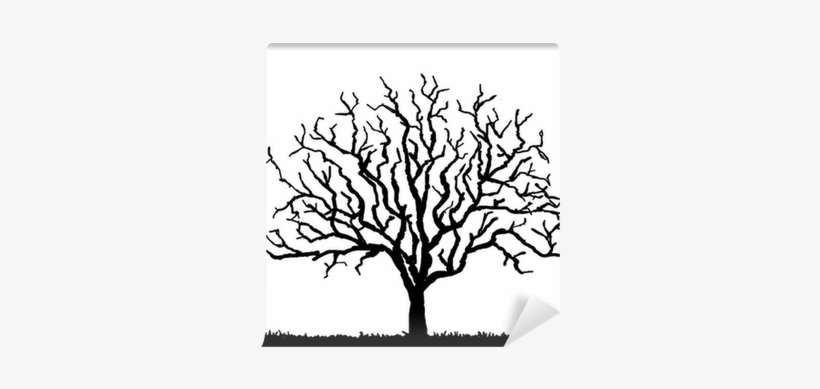 Black Tree Silhouette With No Leaves, Vector Illustration - Tree Silhouette With No Leaves, transparent png #3811297