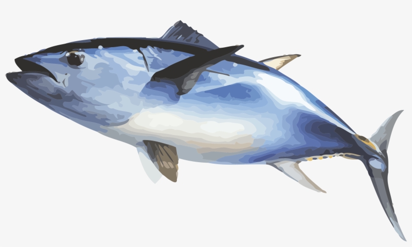 Bluefin Tuna Png, transparent png #3812655