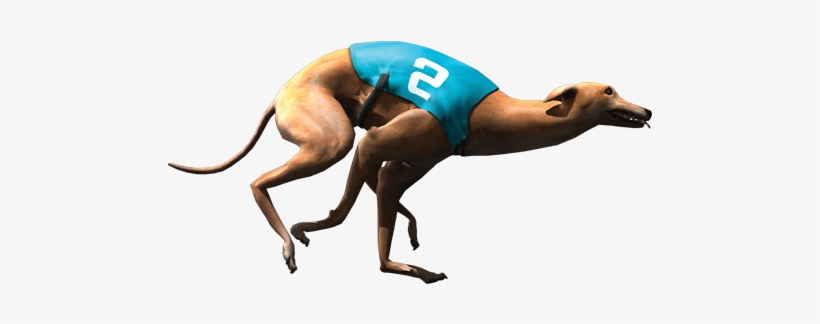 Racing Dog - Virtual Dog, transparent png #3812757