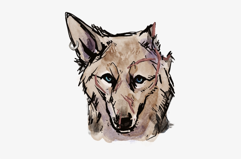 Vesper - Czechoslovakian Wolfdog, transparent png #3813021