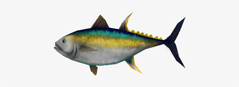 14957 - Atlantic Bluefin Tuna, transparent png #3813074