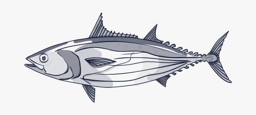 We Only Fish Healthy Stocks - Clip Art, transparent png #3813375