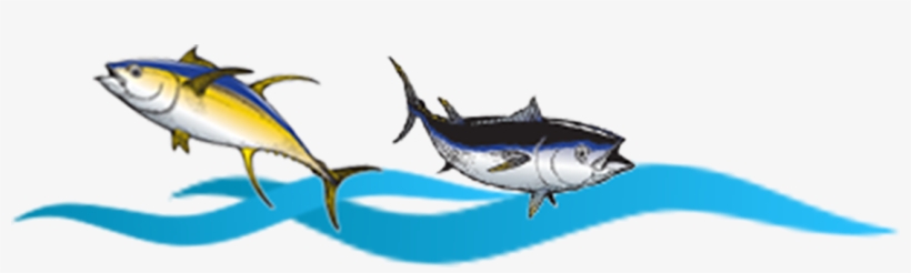 255-3128 - Atlantic Blue Marlin, transparent png #3813562