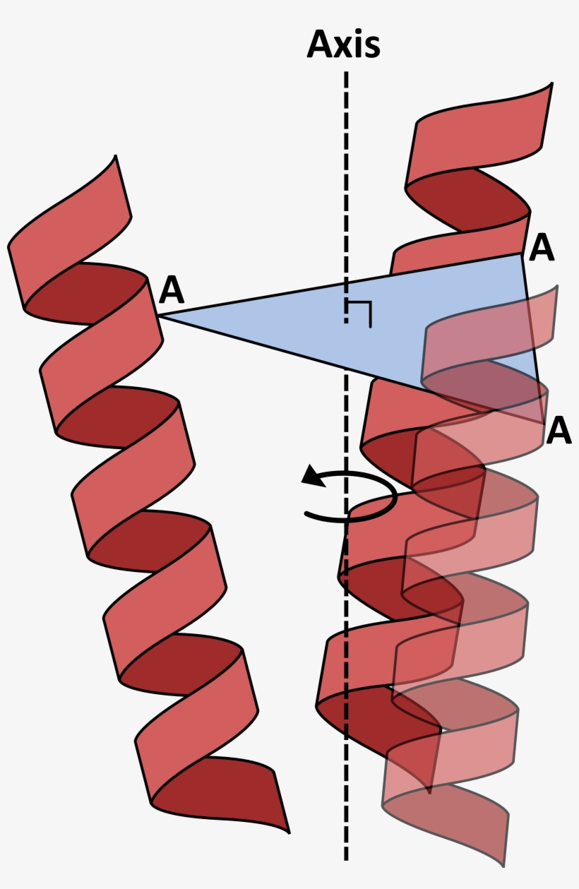 To Run Anglerfish You Will Need - Carmine, transparent png #3814815