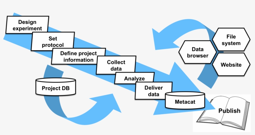 The Hexagons At Right Represent The Modular Components - Student Personnel Information Management System, transparent png #3815048