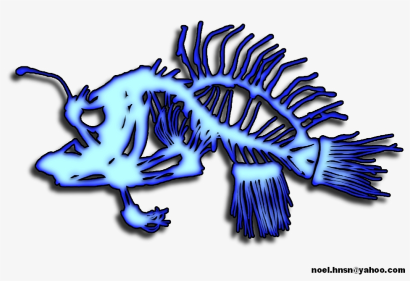 Angler Fish Designs - Drawing, transparent png #3815074