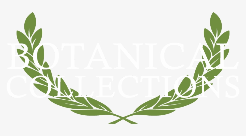 Kew Pottery And Pots From Botanical Collections Kew - Botanic Png, transparent png #3815338