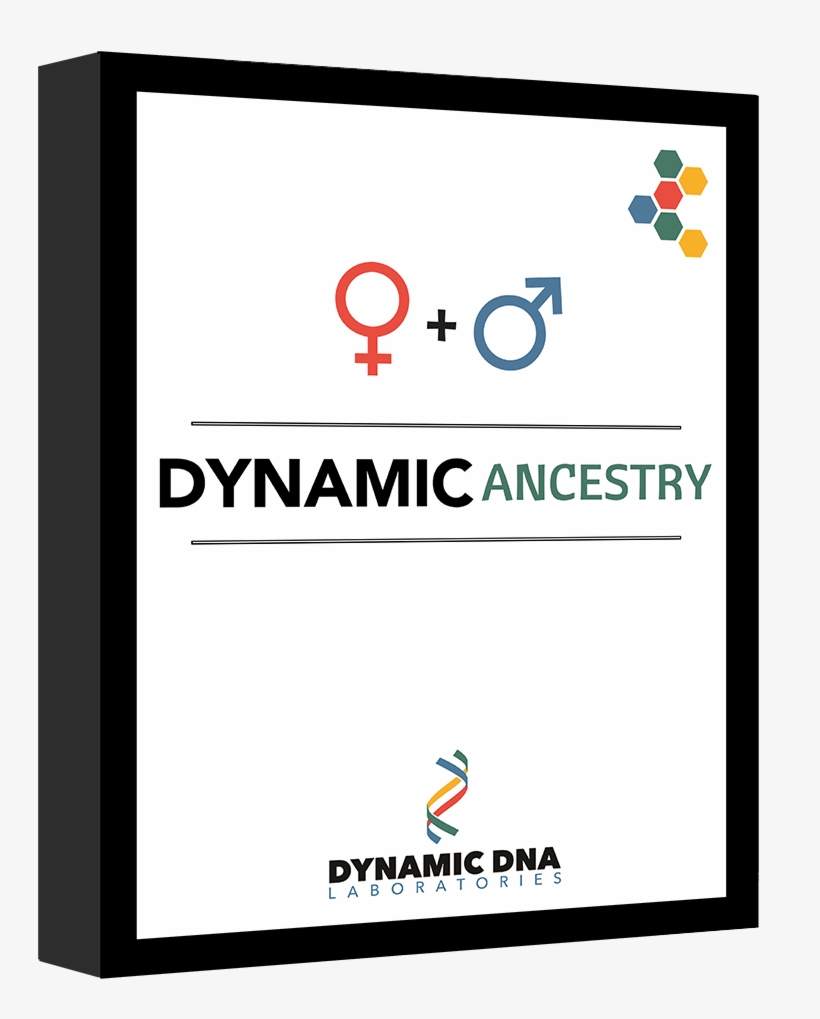 Comprehensive Dna Test - Circle, transparent png #3815827