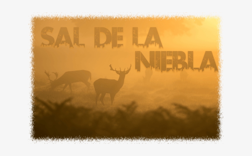 Sal De La Niebla - Elk, transparent png #3815920