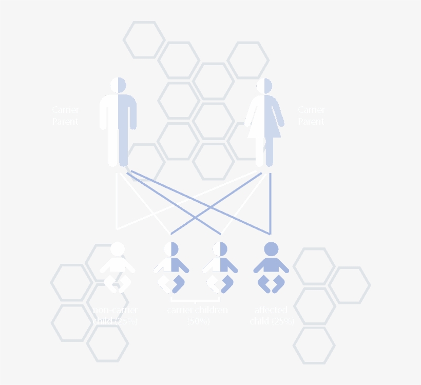 Carrier Status Infographic - Wickelraum, transparent png #3815965