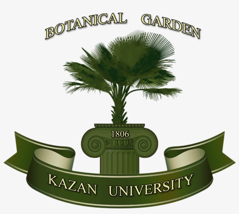 Kazan Federal University, transparent png #3816260