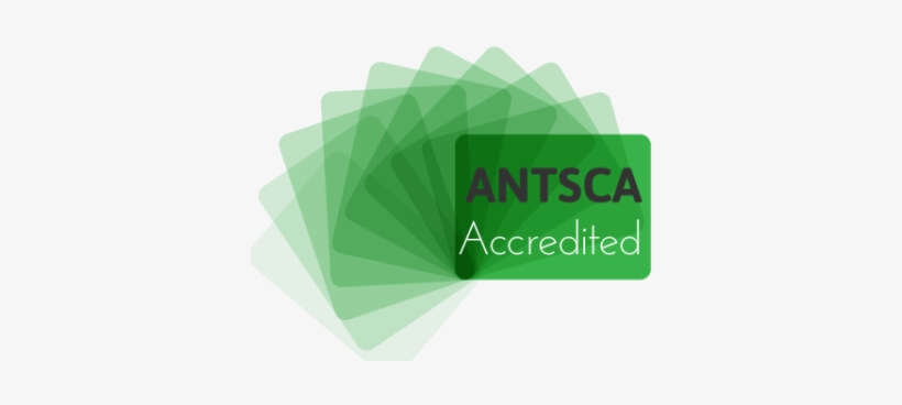 Antsca Surfacing Industry Association - Graphic Design, transparent png #3817184