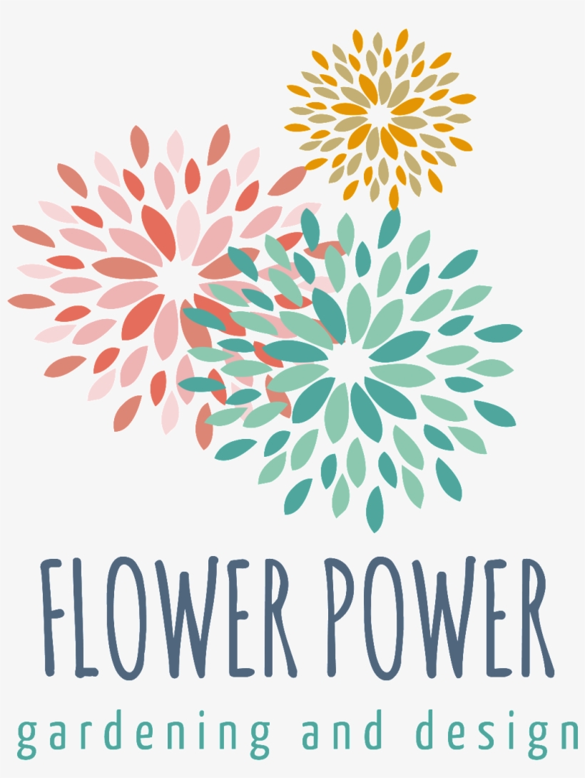 Fireworks Creative Logo Decoration - 煙花 Logo, transparent png #3818399