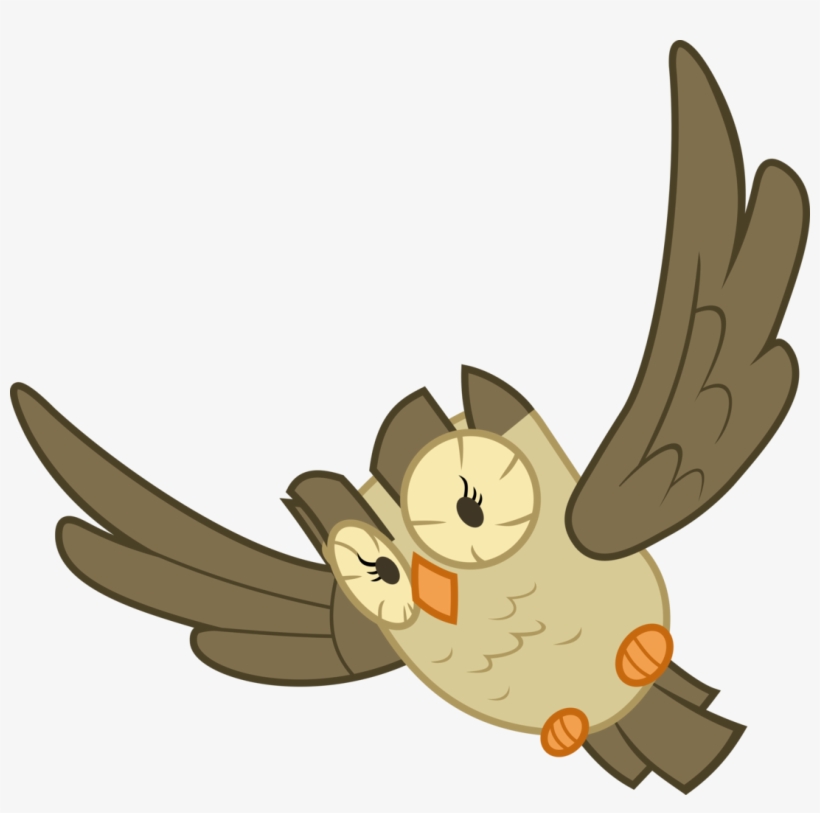 Cooltomorrowkid, Bird, Flying, Owl, Owlowiscious, Pet, - Portable Network Graphics, transparent png #3819124