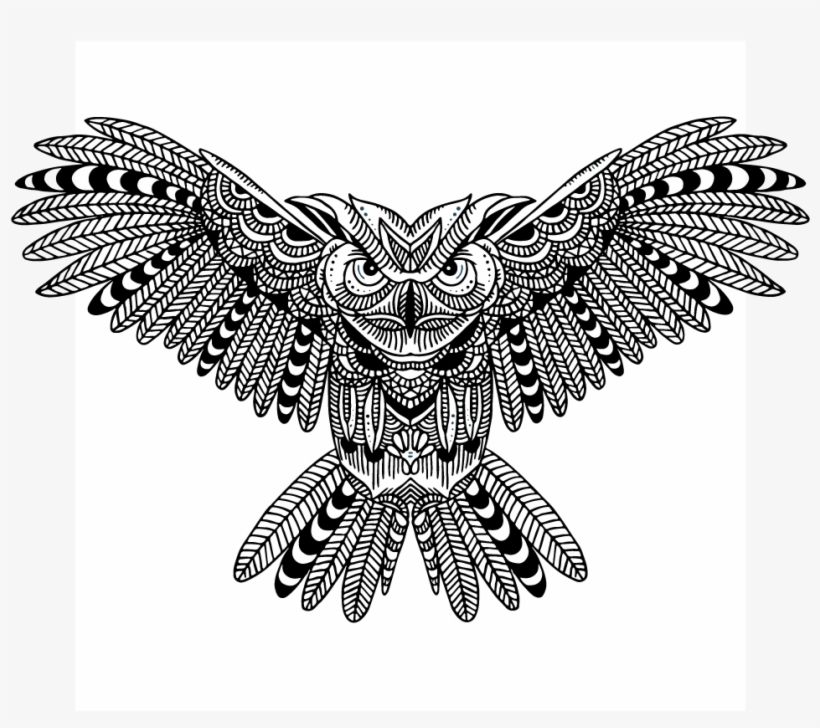 Owl, transparent png #3819213