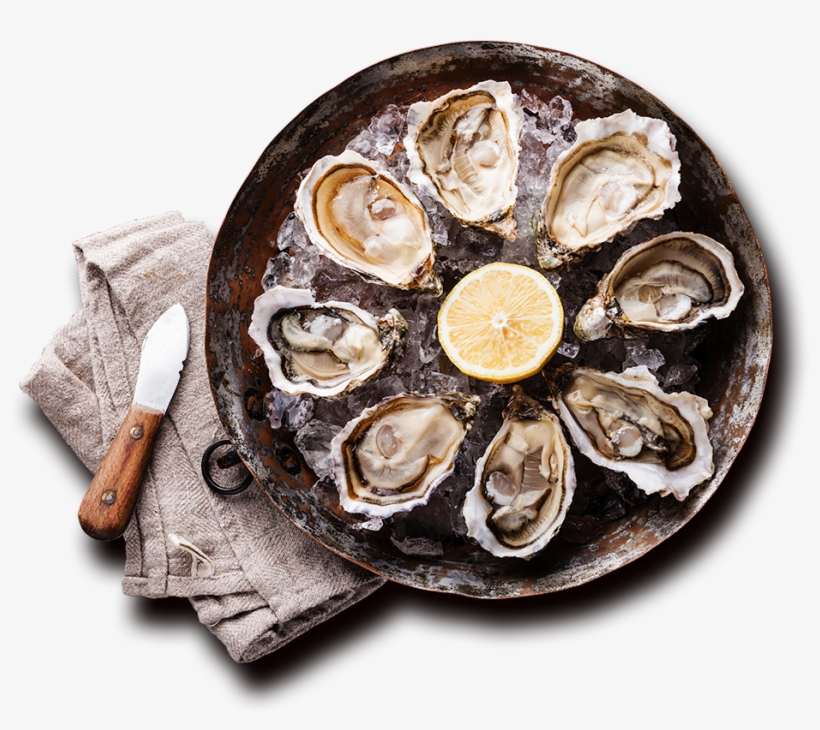We Are John Gross & Company - Oyster Background, transparent png #3819651