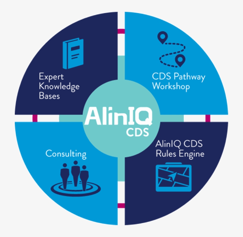 Aliniq Clinical Decision Making Wheel Image - Aliniq Cds, transparent png #3820246