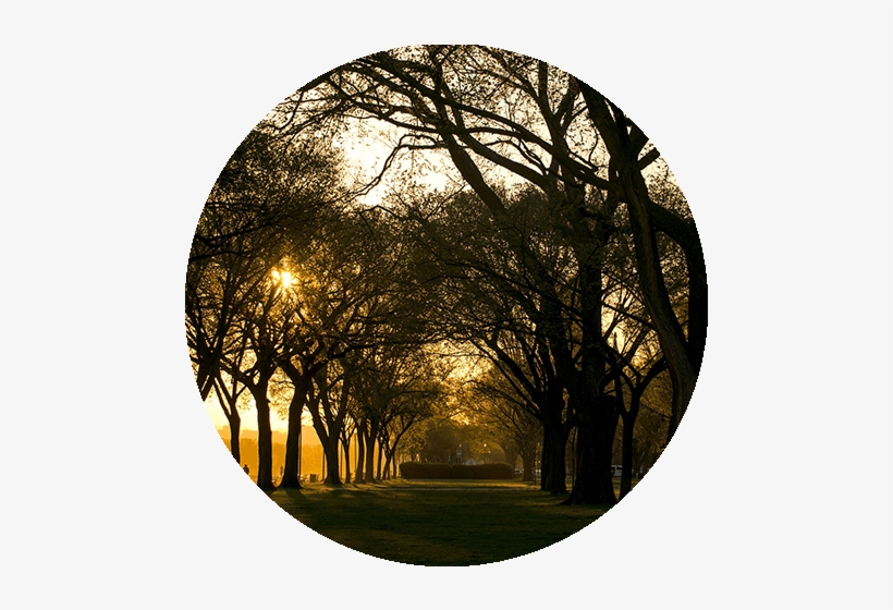 Apartment Amenities And Features In Washington, Dc, - Commodore Barney's Young Spies, transparent png #3820824