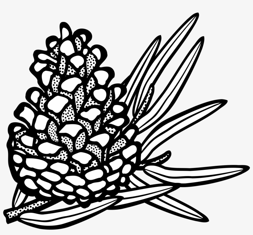 This Free Icons Png Design Of Conifer Cone, transparent png #3821183