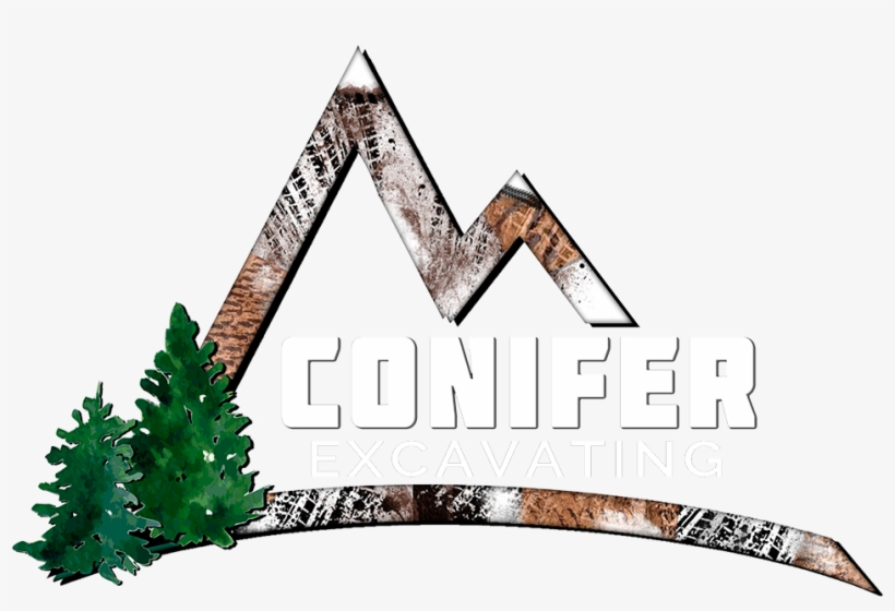 Spruce, transparent png #3821316